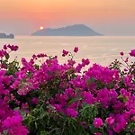 Sunset Flower * Milos Island