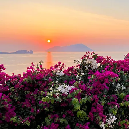 Sunset Flower Villa *
