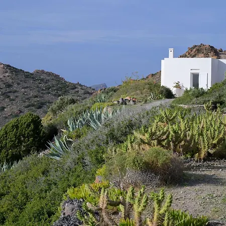 Sunset Flower * Milos Island