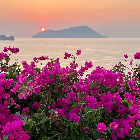 Sunset Flower * Milos Island