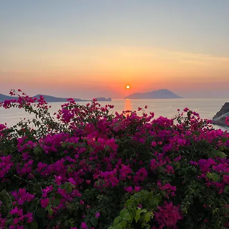 Sunset Flower