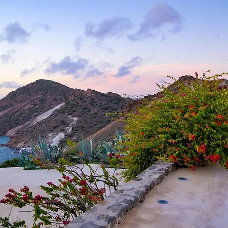 Villa Sunset Flower