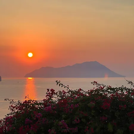 Sunset Flower * Plaka (Milos)