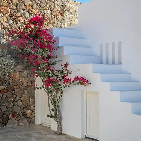 Villa Sunset Flower
