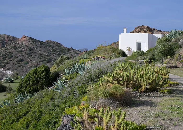 Sunset Flower * Milos Island