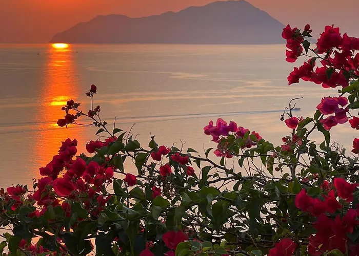 别墅 Sunset Flower