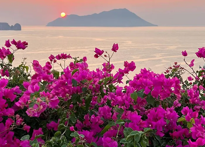 Sunset Flower * Milos Island